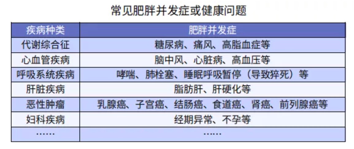 太胖被拒保怎么辦？