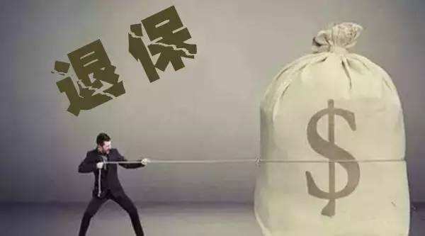 買的保險不想續(xù)保了能退嗎？