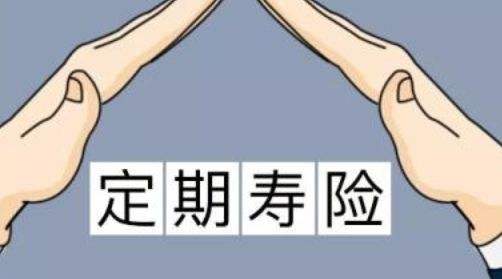 定期壽險(xiǎn)適合什么人？
