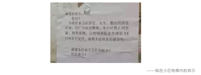 為什么不買保險(xiǎn)就不讓養(yǎng)狗？