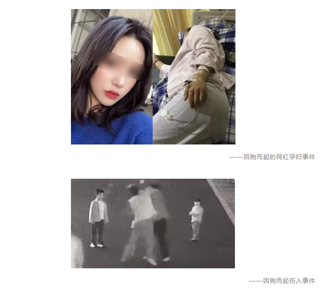 為什么不買保險(xiǎn)就不讓養(yǎng)狗？