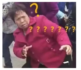 為什么不買保險(xiǎn)就不讓養(yǎng)狗？
