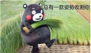 如何避免保單過時？