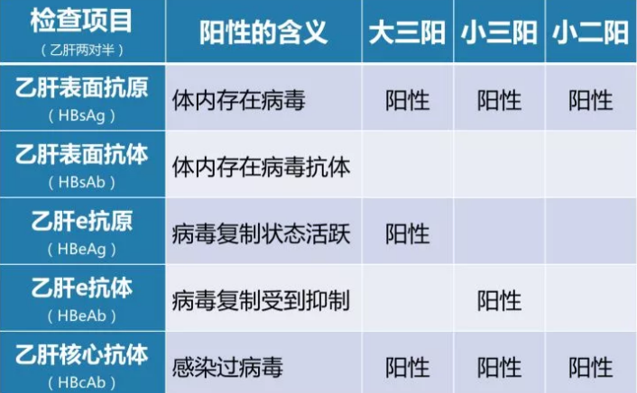 乙肝病毒攜帶者應(yīng)該如何正確投保？