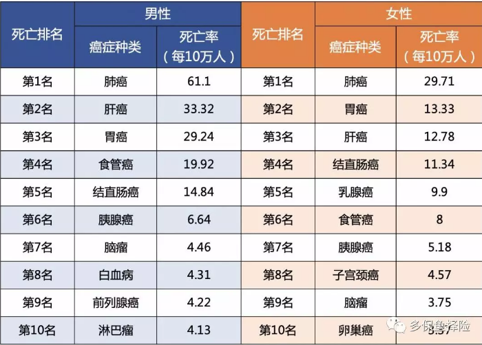女性高發(fā)重疾怎么選？