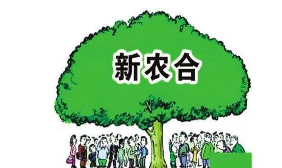 新農(nóng)合的報(bào)銷(xiāo)上限是多少 真能解決問(wèn)題嗎？